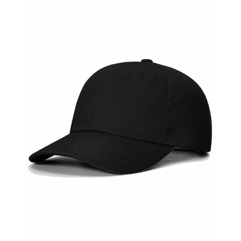 Sustainable Ashland Dad Hat Thumbnail