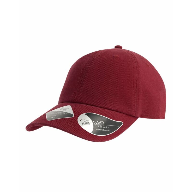 Sustainable Dad Hat Thumbnail