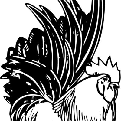 CHICK015 Thumbnail