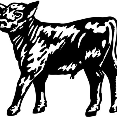 COW025 Thumbnail
