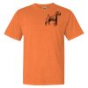 Garment Dyed Heavyweight Ringspun Short Sleeve Shirt Thumbnail