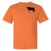 Garment Dyed Heavyweight Ringspun Short Sleeve Shirt Thumbnail