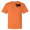 Garment Dyed Heavyweight Ringspun Short Sleeve Shirt Thumbnail