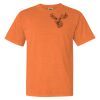Garment Dyed Heavyweight Ringspun Short Sleeve Shirt Thumbnail
