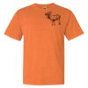 Garment Dyed Heavyweight Ringspun Short Sleeve Shirt Thumbnail