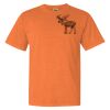 Garment Dyed Heavyweight Ringspun Short Sleeve Shirt Thumbnail