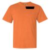 Garment Dyed Heavyweight Ringspun Short Sleeve Shirt Thumbnail