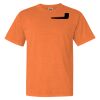 Garment Dyed Heavyweight Ringspun Short Sleeve Shirt Thumbnail