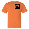 Garment Dyed Heavyweight Ringspun Short Sleeve Shirt Thumbnail