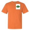 Garment Dyed Heavyweight Ringspun Short Sleeve Shirt Thumbnail