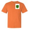 Garment Dyed Heavyweight Ringspun Short Sleeve Shirt Thumbnail