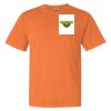 Garment Dyed Heavyweight Ringspun Short Sleeve Shirt Thumbnail