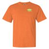 Garment Dyed Heavyweight Ringspun Short Sleeve Shirt Thumbnail