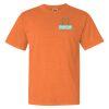 Garment Dyed Heavyweight Ringspun Short Sleeve Shirt Thumbnail