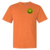 Garment Dyed Heavyweight Ringspun Short Sleeve Shirt Thumbnail
