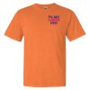 Garment Dyed Heavyweight Ringspun Short Sleeve Shirt Thumbnail