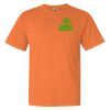 Garment Dyed Heavyweight Ringspun Short Sleeve Shirt Thumbnail