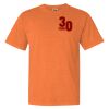 Garment Dyed Heavyweight Ringspun Short Sleeve Shirt Thumbnail